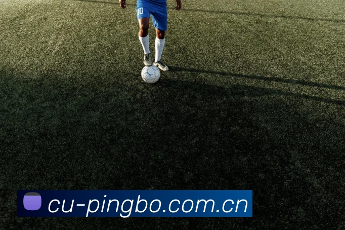 平博官方平台 - Pinnacle在线登录平台介绍